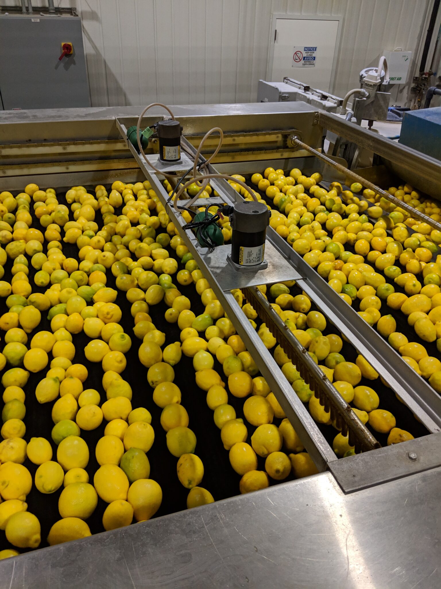 Behind the Scenes: A Deep Dive into Processed Food Testing Protocols ...
