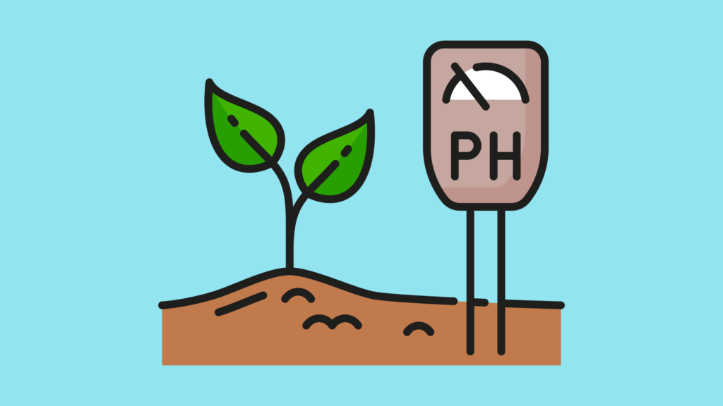 Soil Testing in India